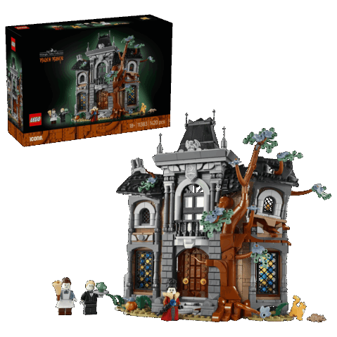 Le manoir du maire 11383